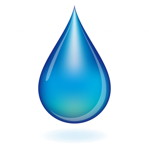 Przedsiębiorstwo Komunalne w Pleszewie